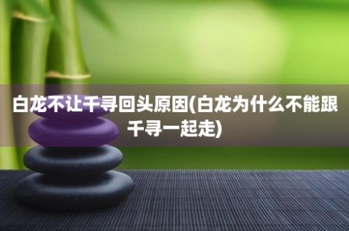 白龙不让千寻回头原因(白龙为什么不能跟千寻一起走)