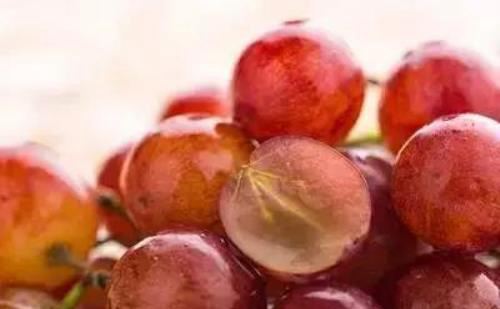 赤霉素在葡萄种植上有什么用处？这几个方面应用最多！