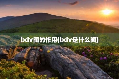 bdv阀的作用(bdv是什么阀)