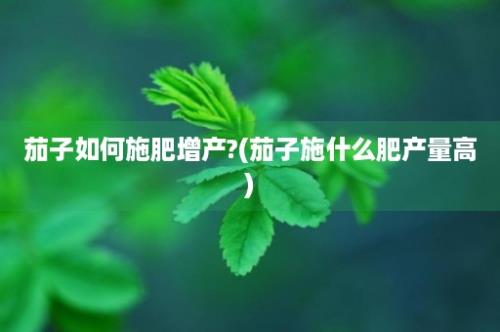 茄子如何施肥增产?(茄子施什么肥产量高)