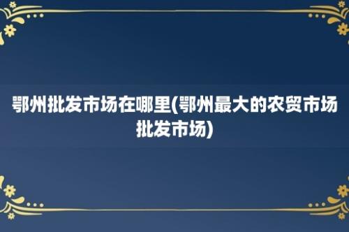 鄂州批发市场在哪里(鄂州最大的农贸市场批发市场)