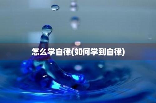 怎么学自律(如何学到自律)