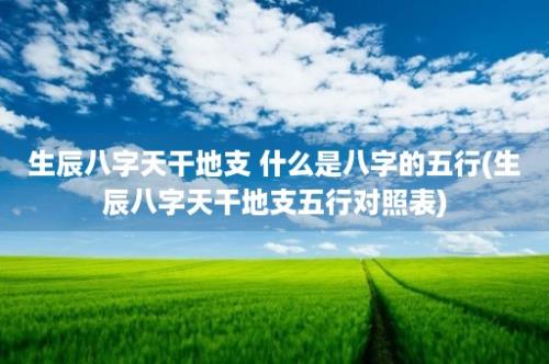 生辰八字天干地支 什么是八字的五行(生辰八字天干地支五行对照表)