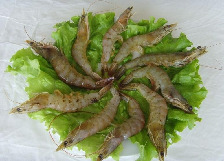 新鲜虾