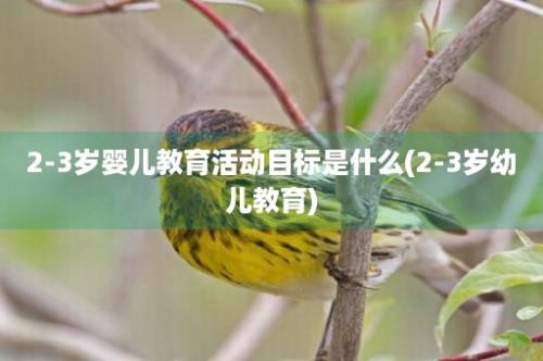 2-3岁婴儿教育活动目标是什么(2-3岁幼儿教育)