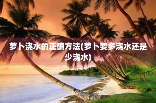 萝卜浇水的正确方法(萝卜要多浇水还是少浇水)