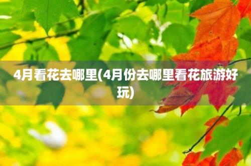 4月看花去哪里(4月份去哪里看花旅游好玩)