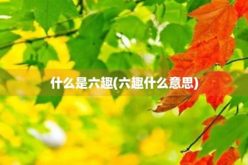 什么是六趣(六趣什么意思)