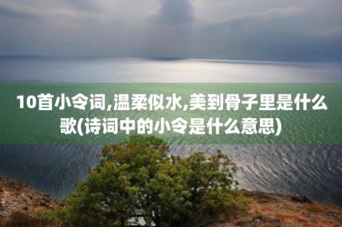 10首小令词,温柔似水,美到骨子里是什么歌(诗词中的小令是什么意思)