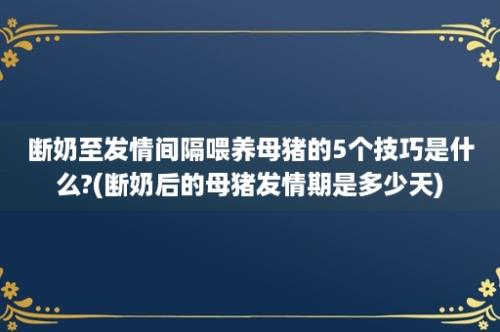 断奶至发情间隔喂养母猪的5个技巧是什么?(断奶后的母猪发情期是多少天)