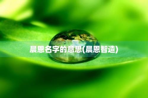 晨恩名字的意思(晨恩智造)