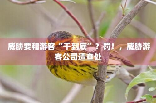  威胁要和游客“干到底”？罚！，威胁游客公司遭查处