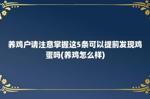 养鸡户请注意掌握这5条可以提前发现鸡蛋吗(养鸡怎么样)