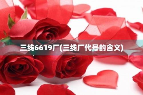 三线6619厂(三线厂代号的含义)