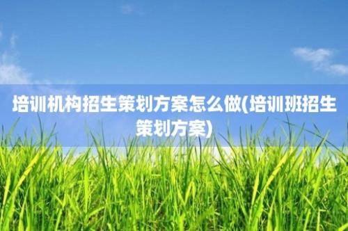 培训机构招生策划方案怎么做(培训班招生策划方案)