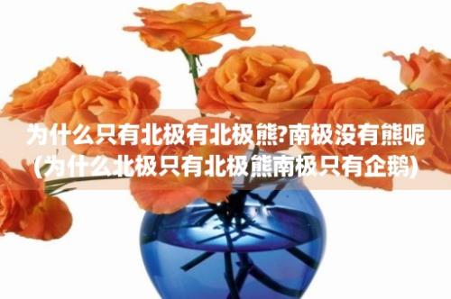 为什么只有北极有北极熊?南极没有熊呢(为什么北极只有北极熊南极只有企鹅)