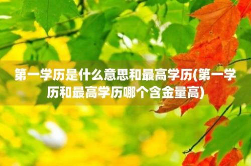 第一学历是什么意思和最高学历(第一学历和最高学历哪个含金量高)