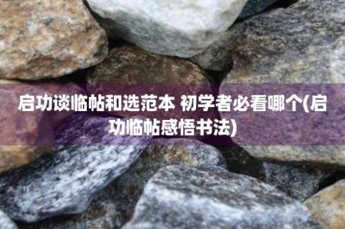 启功谈临帖和选范本 初学者必看哪个(启功临帖感悟书法)