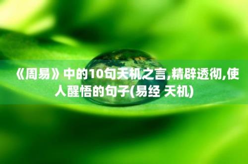 《周易》中的10句天机之言,精辟透彻,使人醒悟的句子(易经 天机)