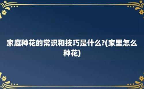 家庭种花的常识和技巧是什么?(家里怎么种花)