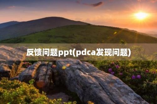 反馈问题ppt(pdca发现问题)