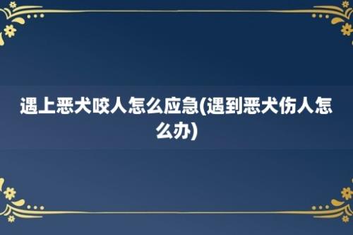 遇上恶犬咬人怎么应急(遇到恶犬伤人怎么办)