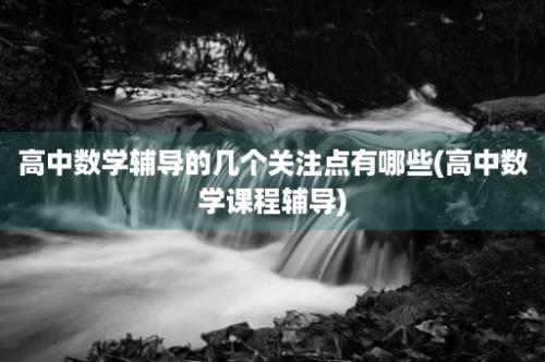 高中数学辅导的几个关注点有哪些(高中数学课程辅导)