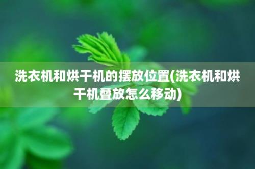 洗衣机和烘干机的摆放位置(洗衣机和烘干机叠放怎么移动)