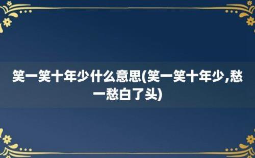 笑一笑十年少什么意思(笑一笑十年少,愁一愁白了头)