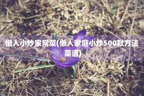 懒人小炒家常菜(懒人家庭小炒500款方法 菜谱)