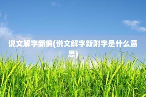 说文解字新编(说文解字新附字是什么意思)