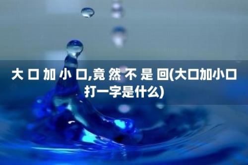 大 口 加 小 口,竟 然 不 是 回(大口加小口打一字是什么)