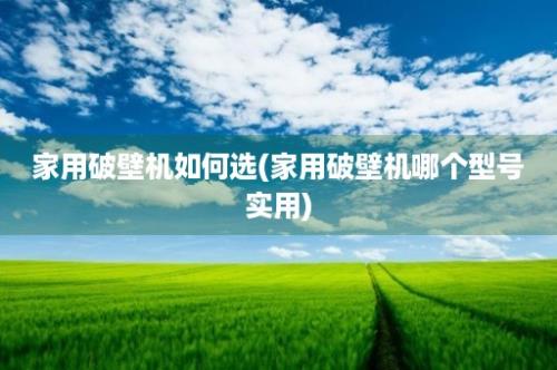 家用破壁机如何选(家用破壁机哪个型号实用)