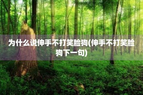 为什么说伸手不打笑脸狗(伸手不打笑脸狗下一句)