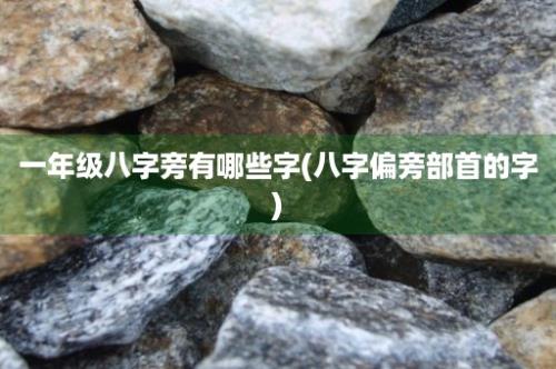 一年级八字旁有哪些字(八字偏旁部首的字)