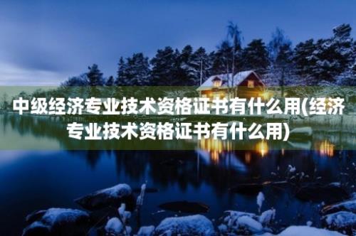 中级经济专业技术资格证书有什么用(经济专业技术资格证书有什么用)