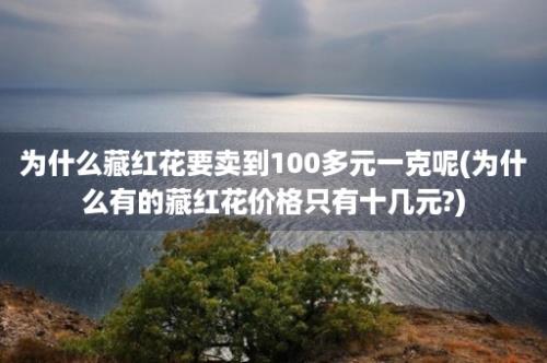 为什么藏红花要卖到100多元一克呢(为什么有的藏红花价格只有十几元?)