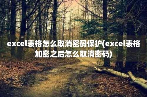 excel表格怎么取消密码保护(excel表格加密之后怎么取消密码)