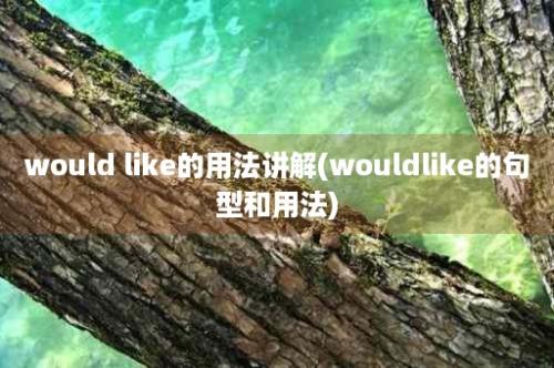 would like的用法讲解(wouldlike的句型和用法)