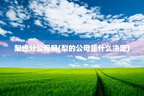 梨也分公母吗(梨的公母是什么决定)