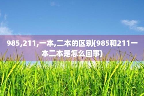 985,211,一本,二本的区别(985和211一本二本是怎么回事)