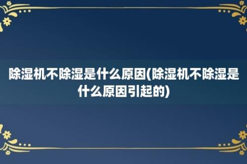 除湿机不除湿是什么原因(除湿机不除湿是什么原因引起的)