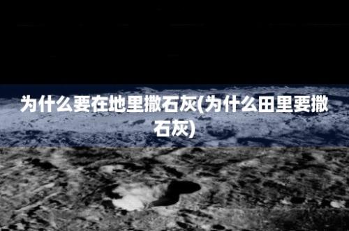 为什么要在地里撒石灰(为什么田里要撒石灰)