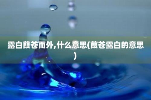 露白葭苍而外,什么意思(葭苍露白的意思)