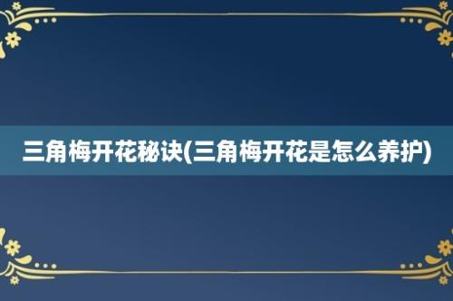 三角梅开花秘诀(三角梅开花是怎么养护)