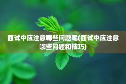 面试中应注意哪些问题呢(面试中应注意哪些问题和技巧)