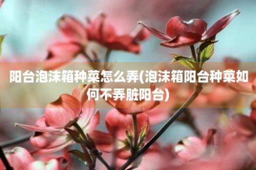 阳台泡沫箱种菜怎么弄(泡沫箱阳台种菜如何不弄脏阳台)