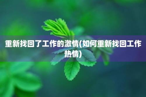 重新找回了工作的激情(如何重新找回工作热情)