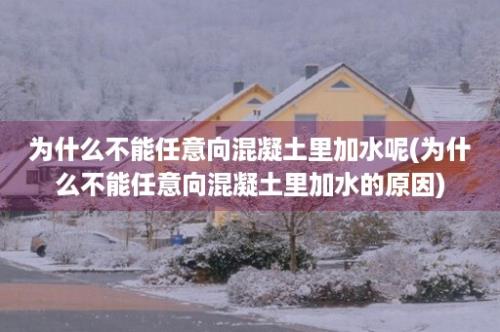 为什么不能任意向混凝土里加水呢(为什么不能任意向混凝土里加水的原因)