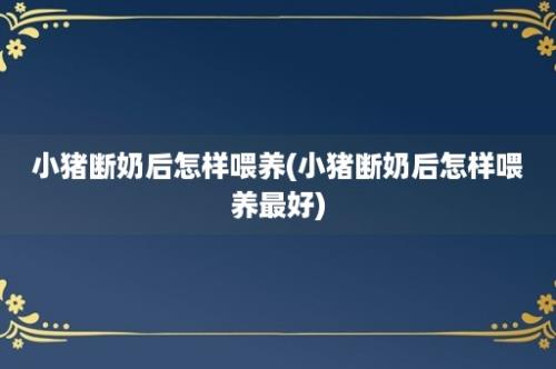 小猪断奶后怎样喂养(小猪断奶后怎样喂养最好)